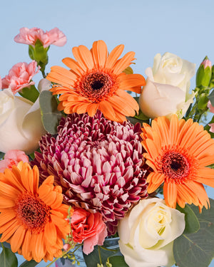 Virgo 6