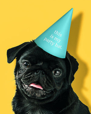 B'day Vibes 7