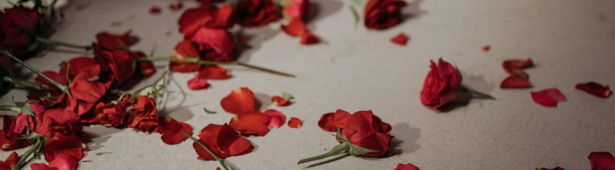 What Flowers To Buy For Valentine's Day