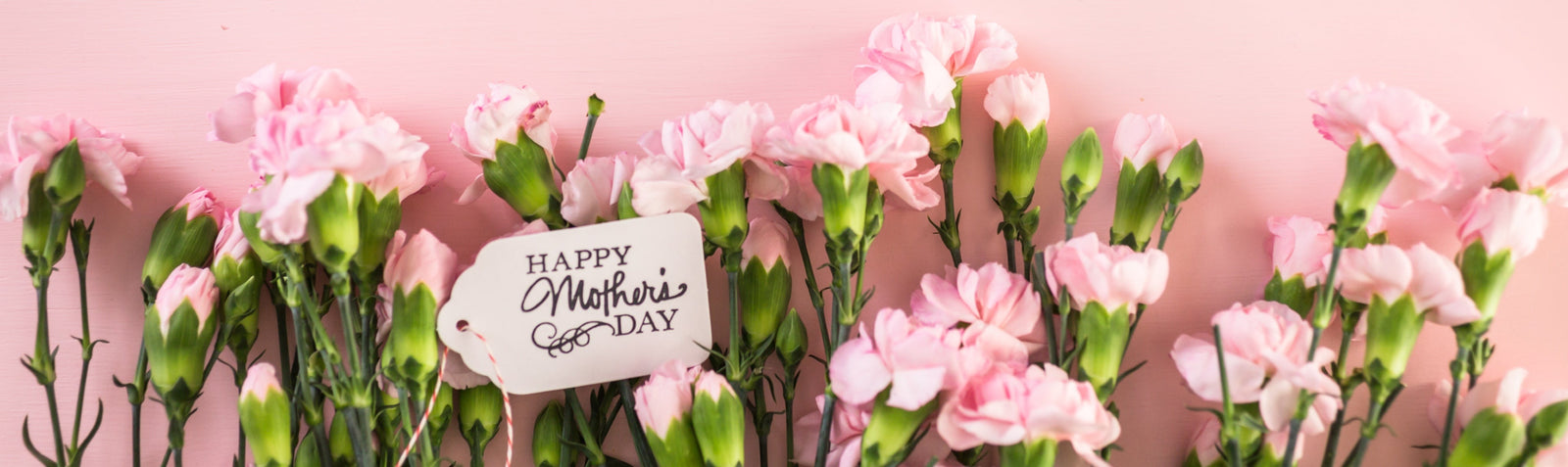 A Beginner's Guide to Popular Flowers for Mother's Day