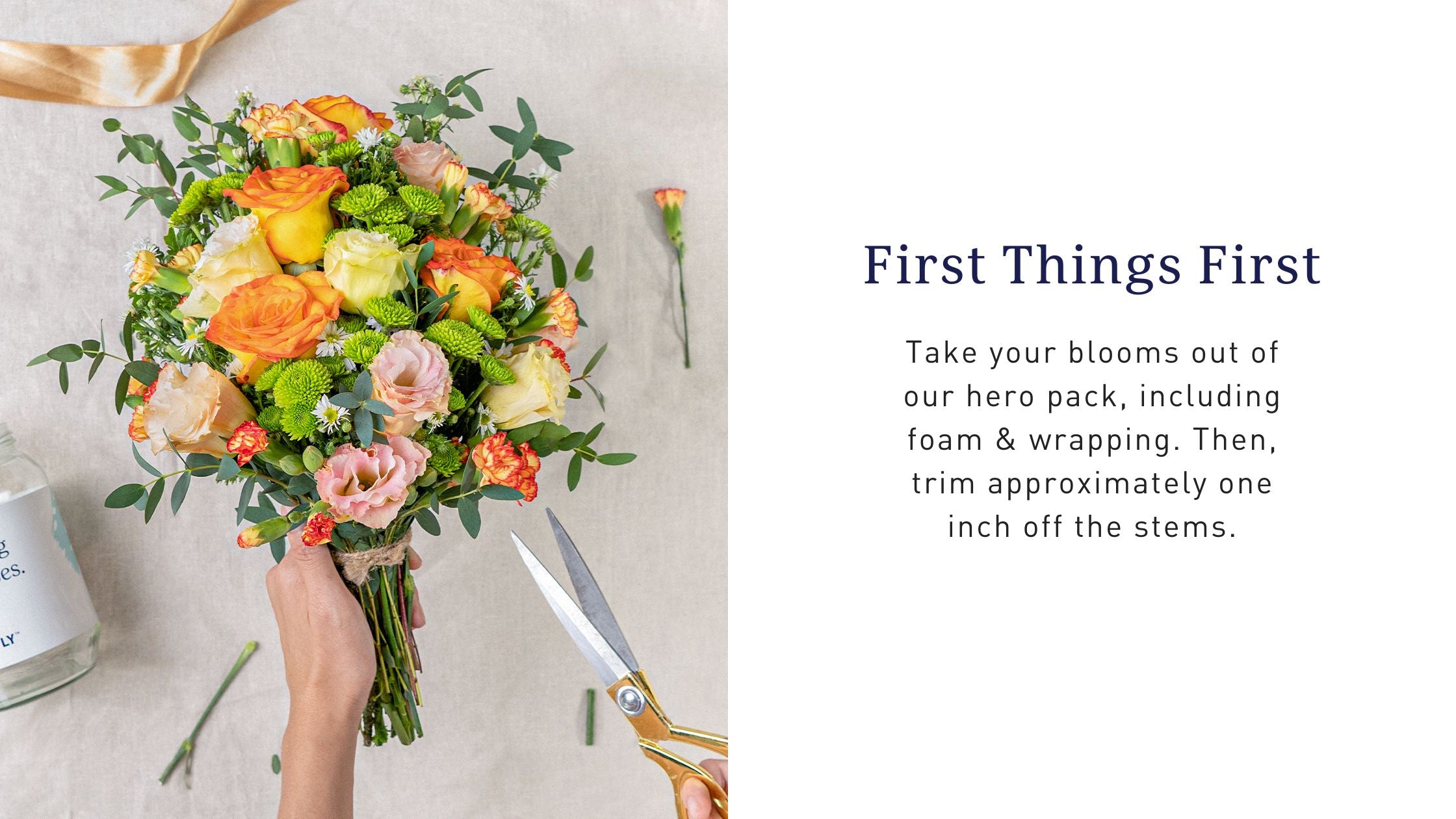 Lvly Flower Care LVLY Singapore