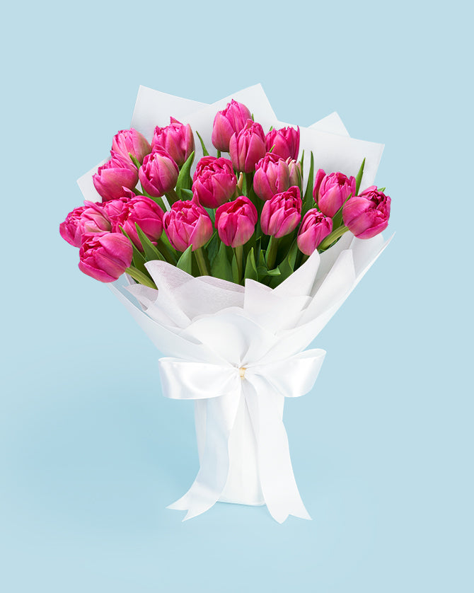 Tulips