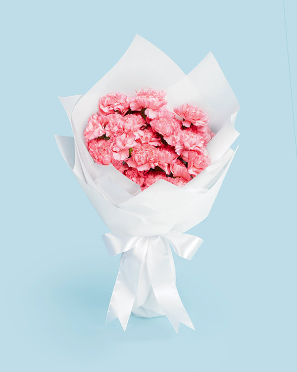Carnations Flower Bouquet Same Day Delivery LVLY Singapore