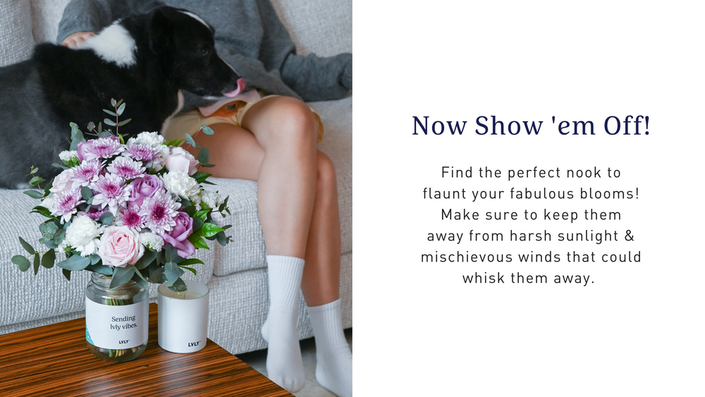 Lvly Flower Care LVLY Singapore
